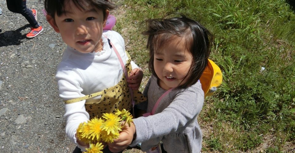 貴庵寺学園 リリー幼稚園 静岡市葵区 貴庵寺学園 リリー幼稚園 静岡市葵区
